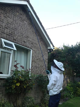 Acocks Green Wasp Control, Wasp nest treatment - removal only £45.00 no extra, 100% guarantee with no hidden extras or nasty surprises. T:0121 450 9784 