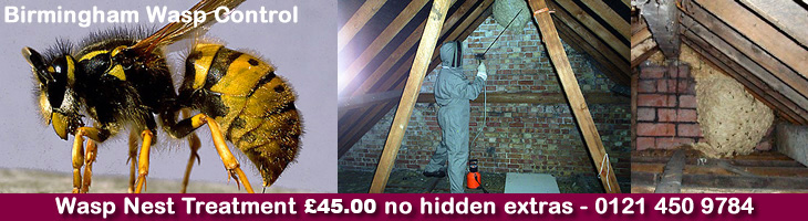 Hamstead Wasp Control, Wasp nest treatment and removal only £45.00 no extra, 100% guarantee with no hidden extras or nasty surprises. T:0121 450 9784 